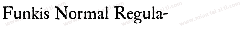 Funkis Normal Regula字体转换